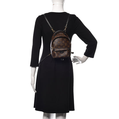 Louis Vuitton Monogram Palm Springs Backpack Mini 2 of 12
