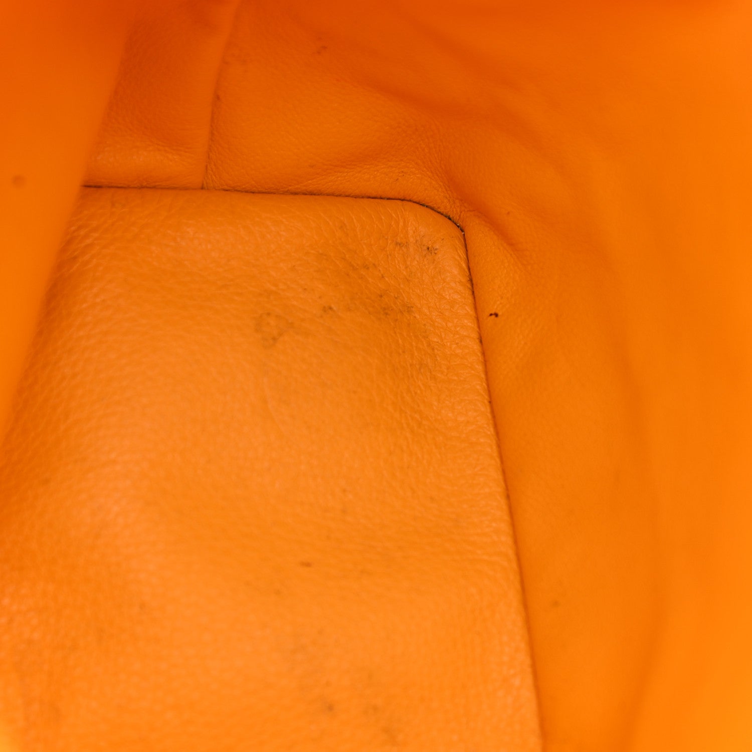 Goyard Goyardine Reversible Mini Anjou Yellow 14 of 14
