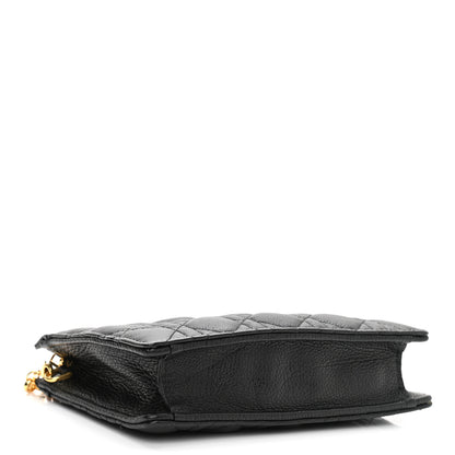 Christian Dior Calfskin Cannage Caro Zipped Pouch With Chain Black 4 of 10