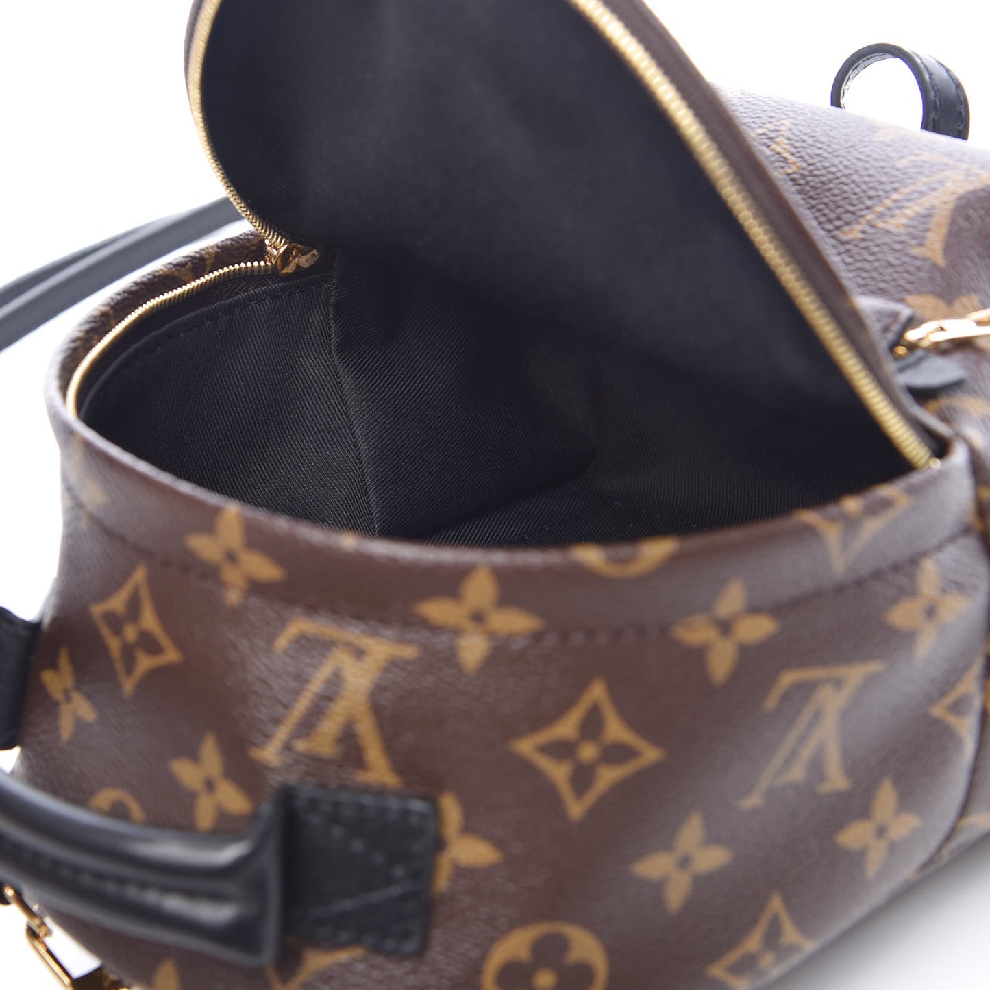 Monogram Palm Springs Backpack Mini