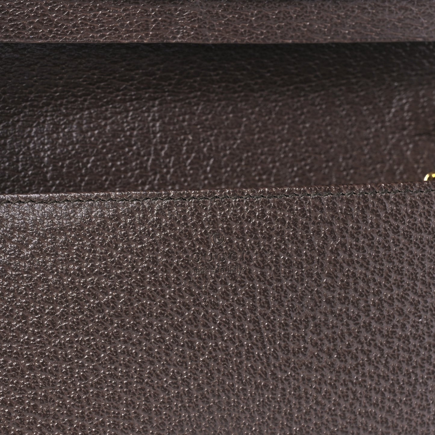 Monogram Jumbo GG Textured Dollar Calfskin Embroidered Horsebit 1955 Wallet On Chain Camel Ebony New Acero Multicolor