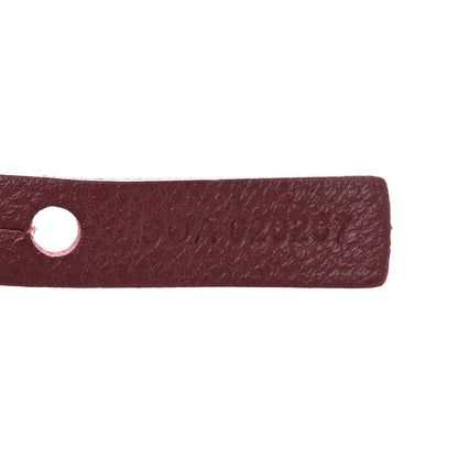 Goyard Goyardine Saint Louis PM Bordeaux 7 of 10
