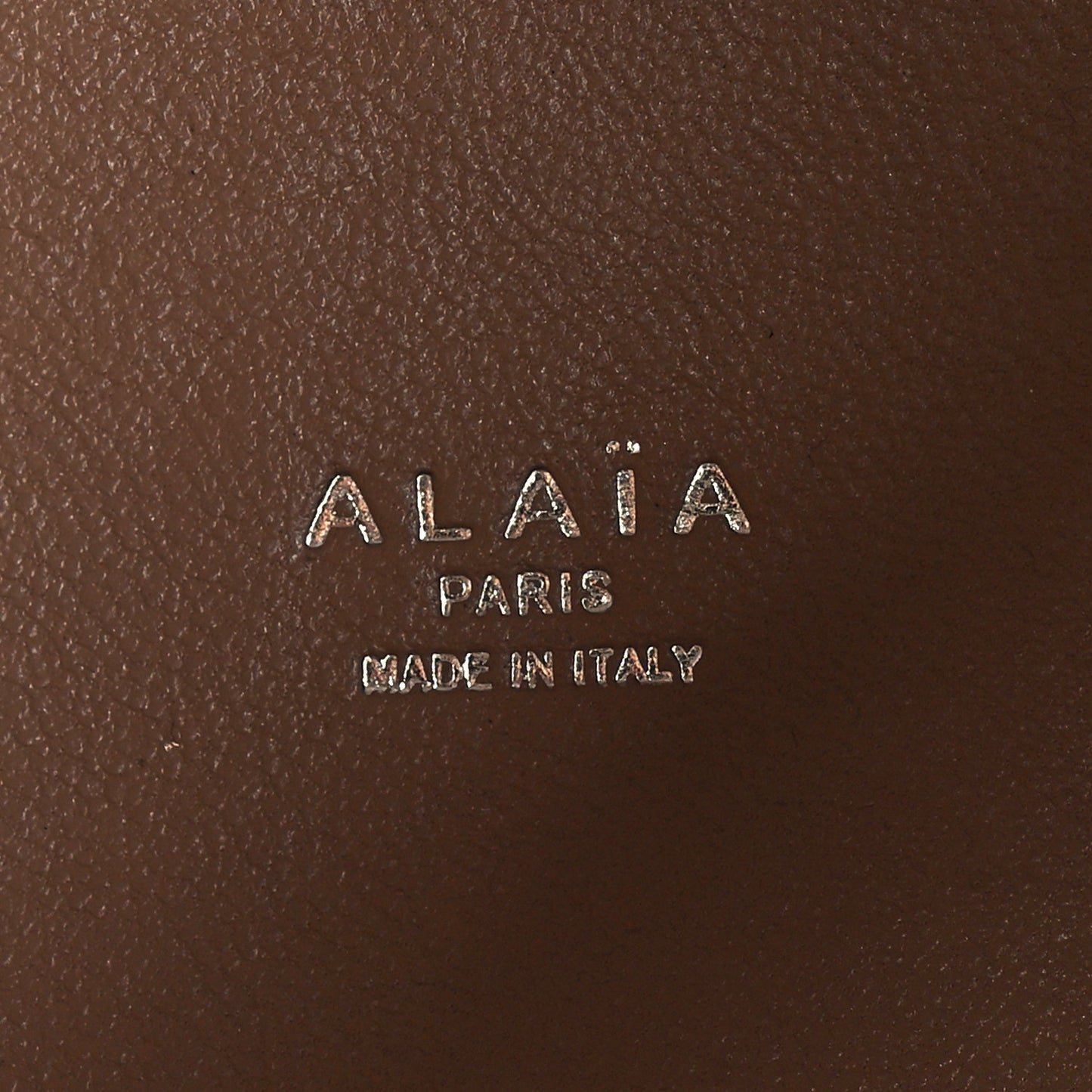 Palmelatto Calfskin Fiori Degrade Mina 20 Bag Sable