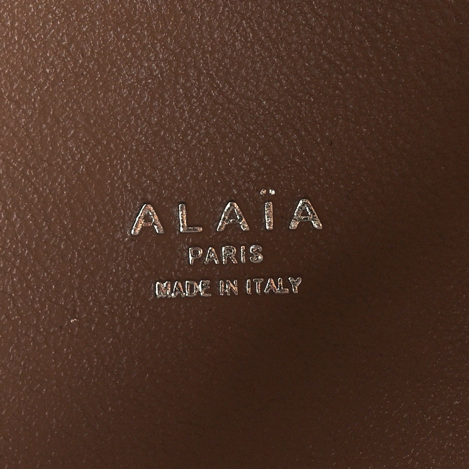 Alaia Palmelatto Calfskin Fiori Degrade Mina 20 Bag Sable 7 of 9