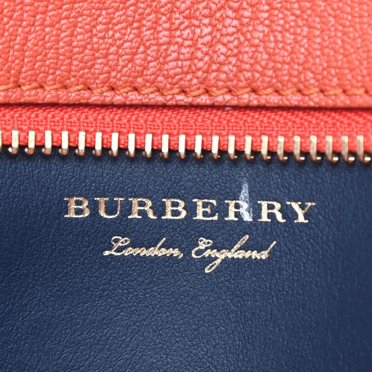 Goatskin Wristlet Clutch Clementine