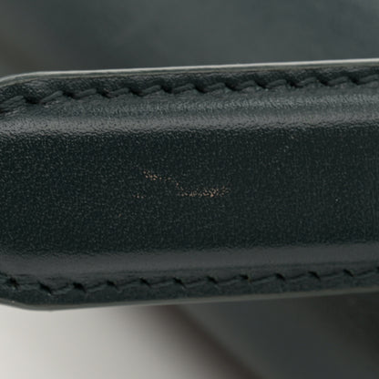 Celine Shiny Calfskin Medium Chain Maillon Triomphe Amazone 11 of 12