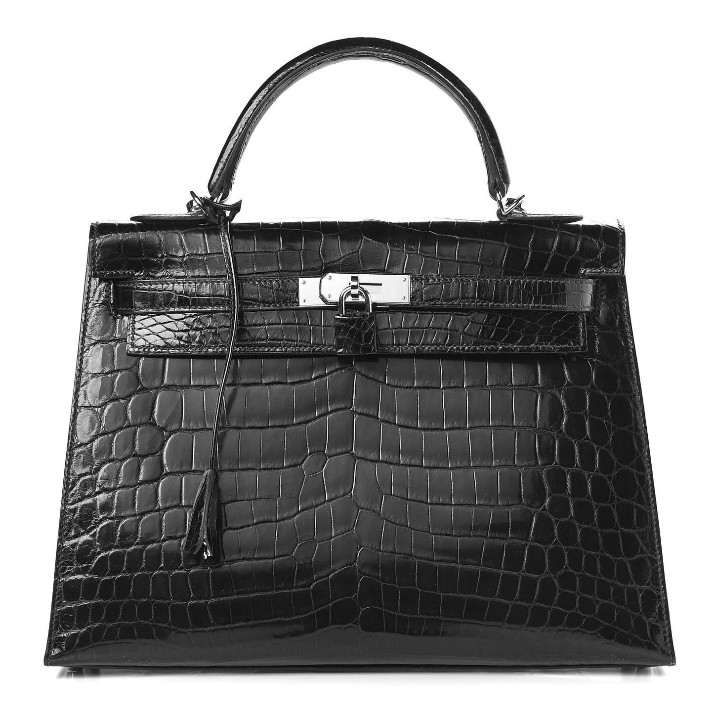 Shiny Niloticus Crocodile Kelly Sellier 32