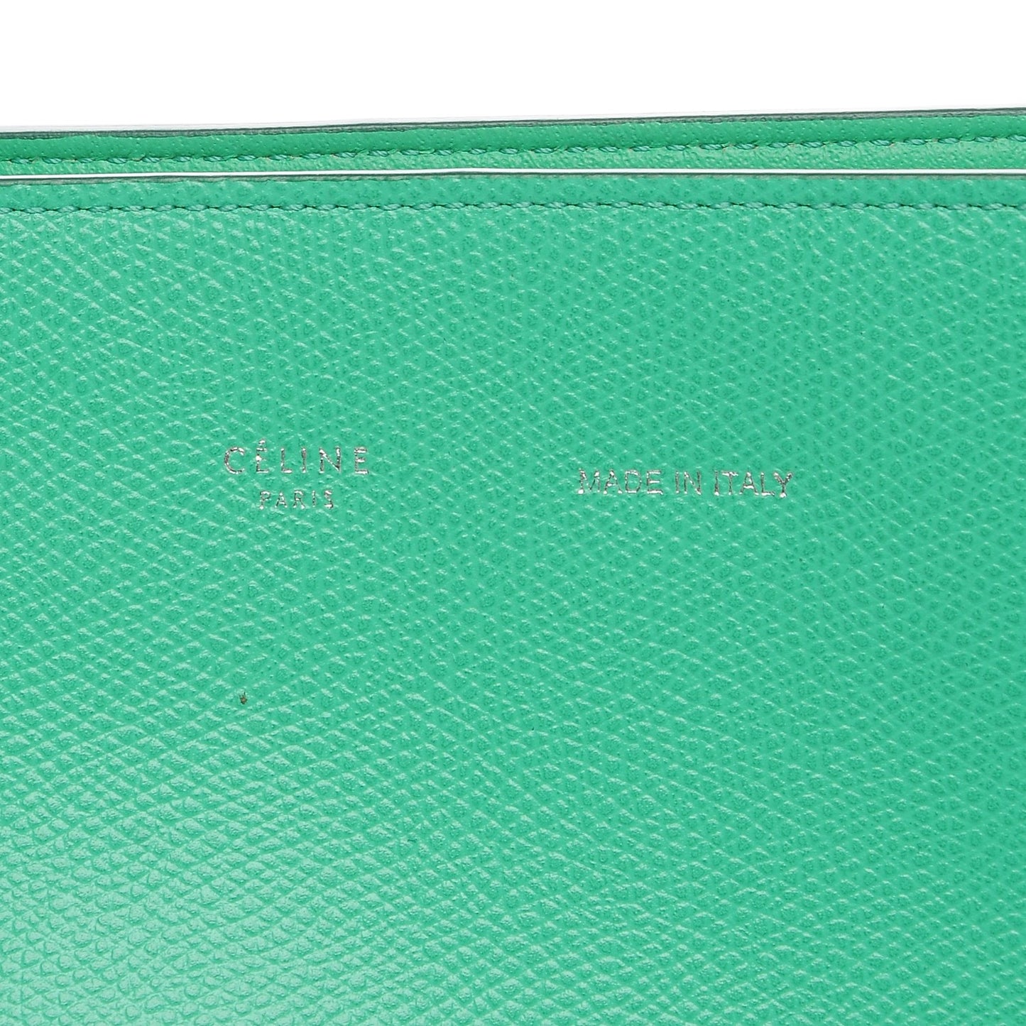 Grained Calfskin Small Horizontal Cabas Phantom Mint