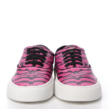 Saint Laurent Nappa Zebra Venice Sneakers 39 Fuchsia Black 2 of 10