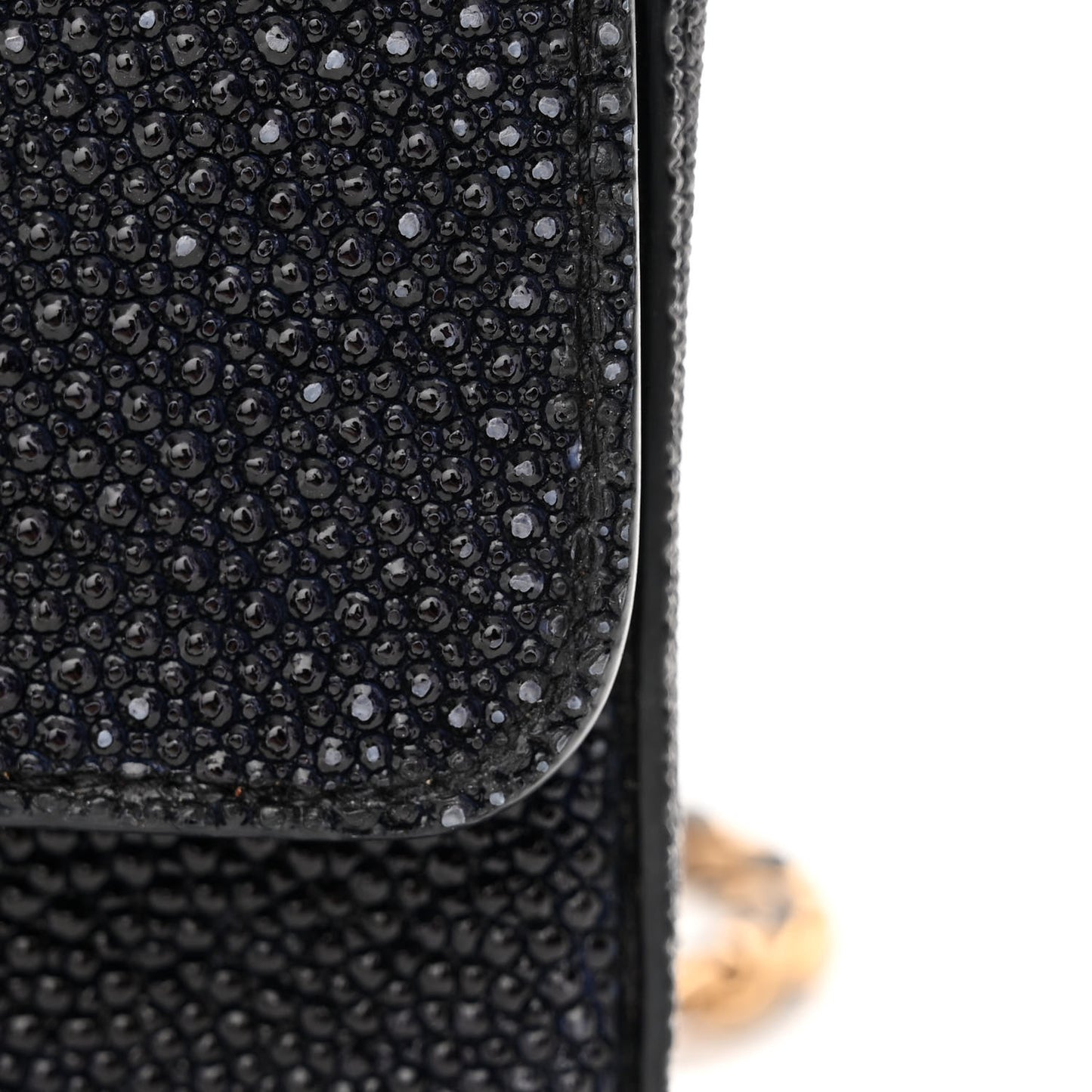 Galuchat Stingray Mini Flap Black