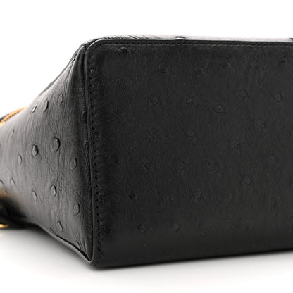 Loro Piana Ostrich Extra Bag L27 Black 8 of 10