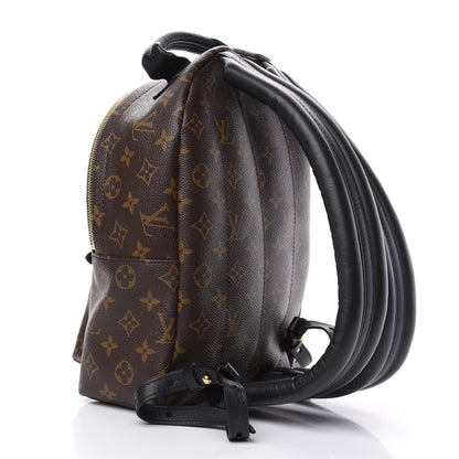 Louis Vuitton Monogram Palm Springs Backpack PM 2 of 9