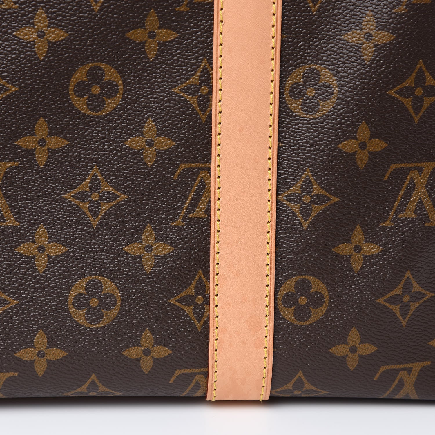 Louis Vuitton Monogram Sac Chien 40 Pet Carrier 13 of 19