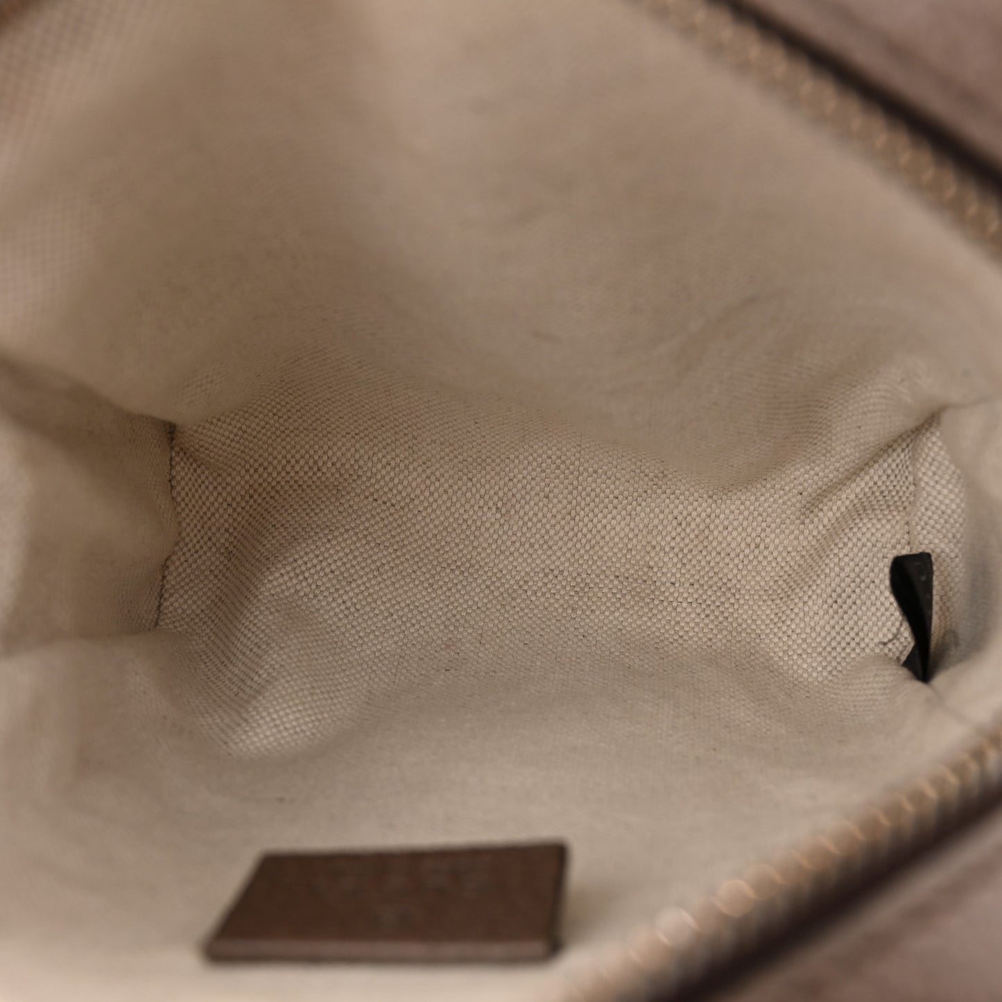 GG Supreme Monogram Web Mini Ophidia Messenger Brown