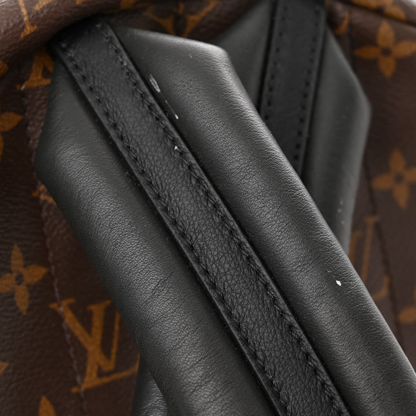 Monogram Palm Springs Backpack MM