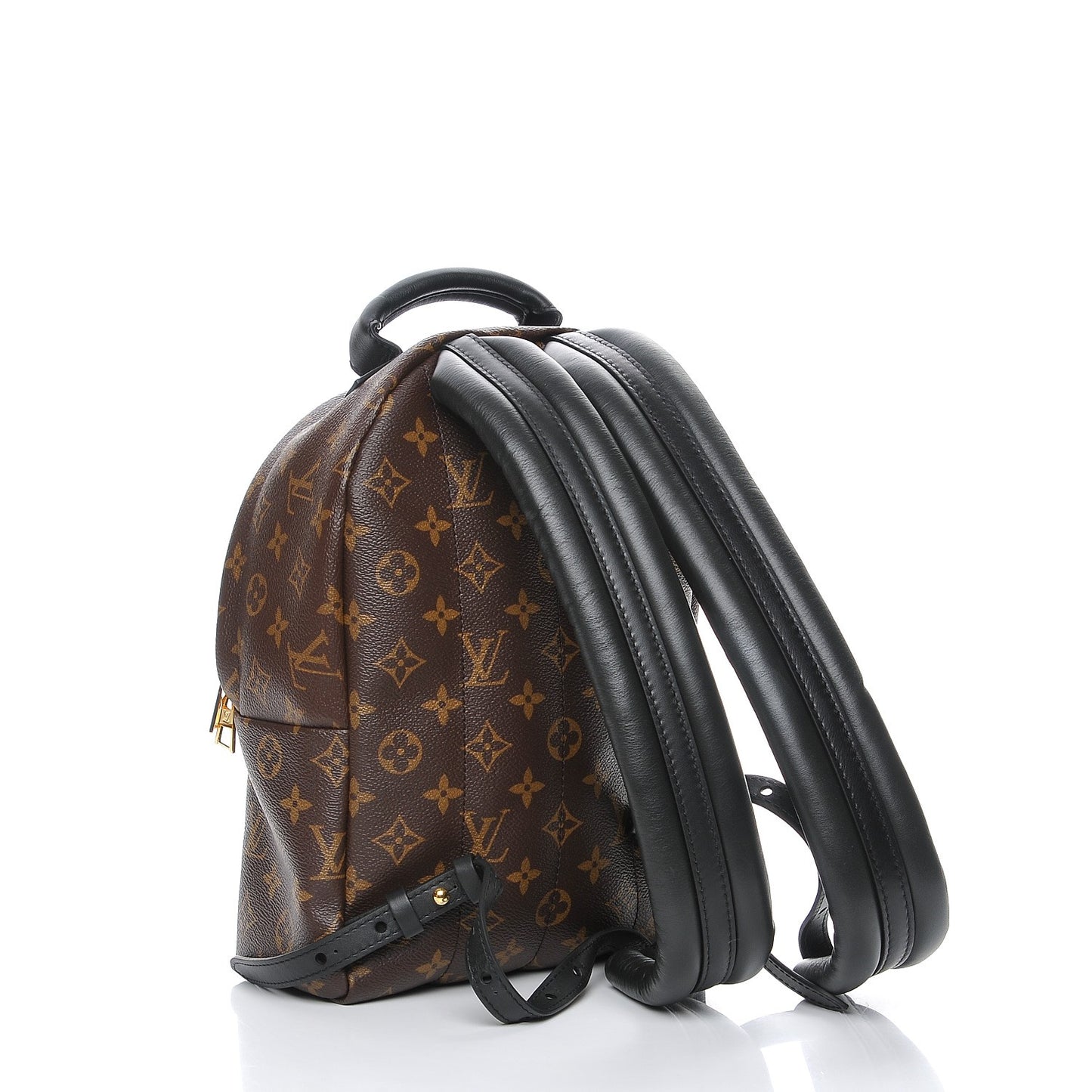 Monogram Palm Springs Backpack PM