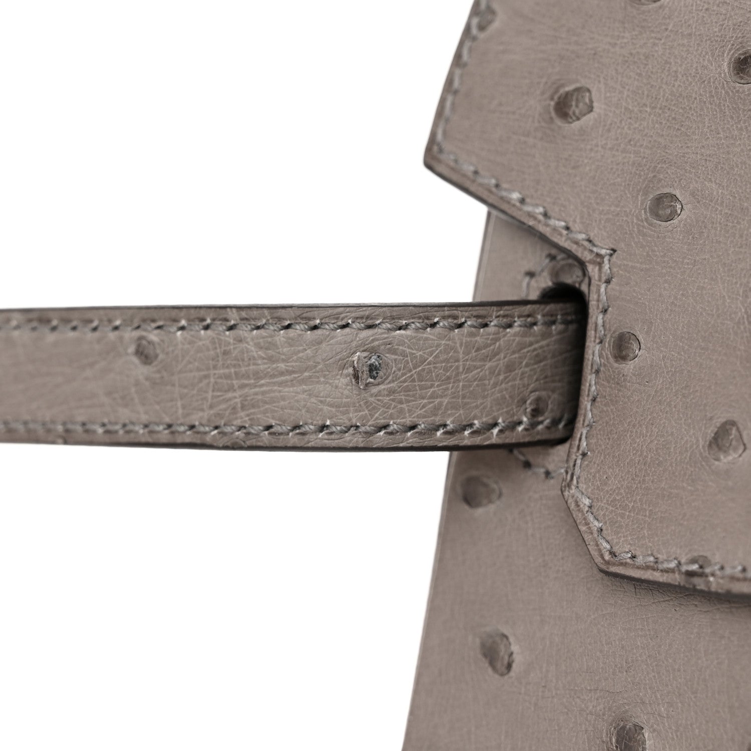 Hermes Ostrich Birkin 25 Gris Tourterelle 11 of 13