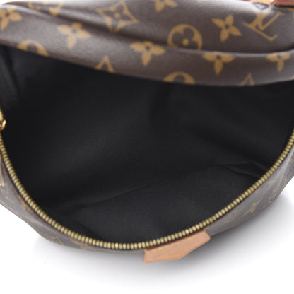 Louis Vuitton Monogram Bumbag 4 of 9