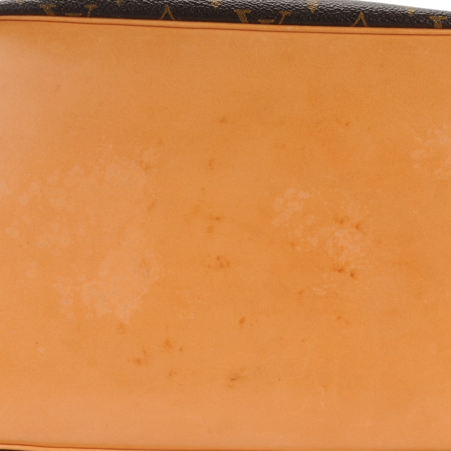 Monogram Petit Noe