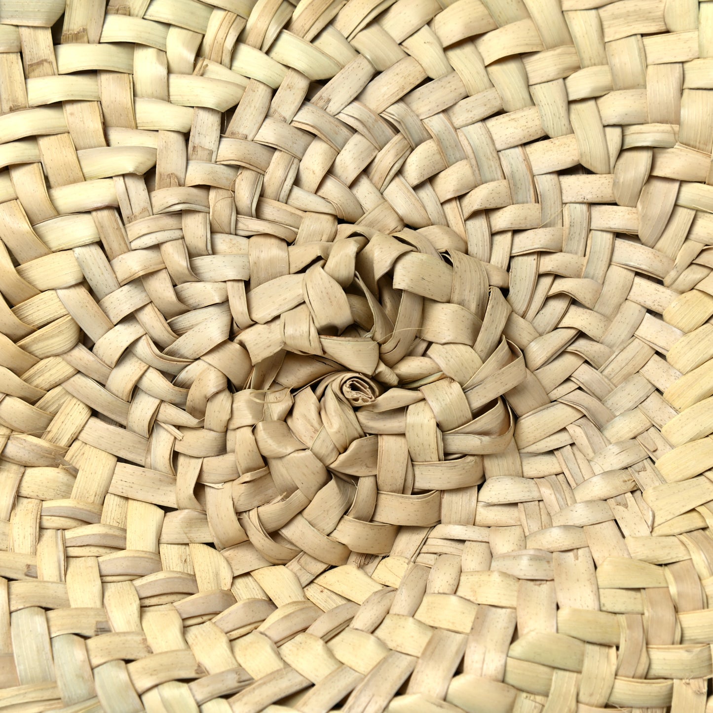 Woven Raffia Lizard Kendra Logo Tote Red Multicolor