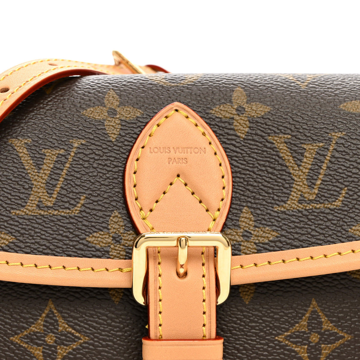 Monogram Nano Diane