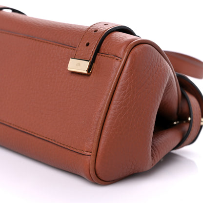 Mulberry Heavy Grain Mini Alexa Chestnut 8 of 9