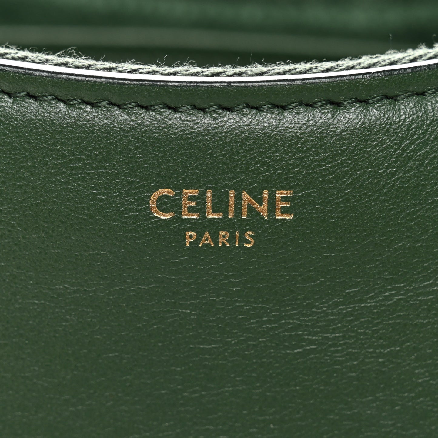 Smooth Calfskin Medium Strap Ava Shoulder Bag Green