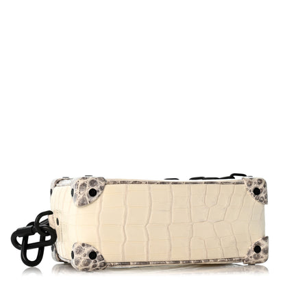 Louis Vuitton Himalaya Crocodile Mini Soft Trunk 4 of 12