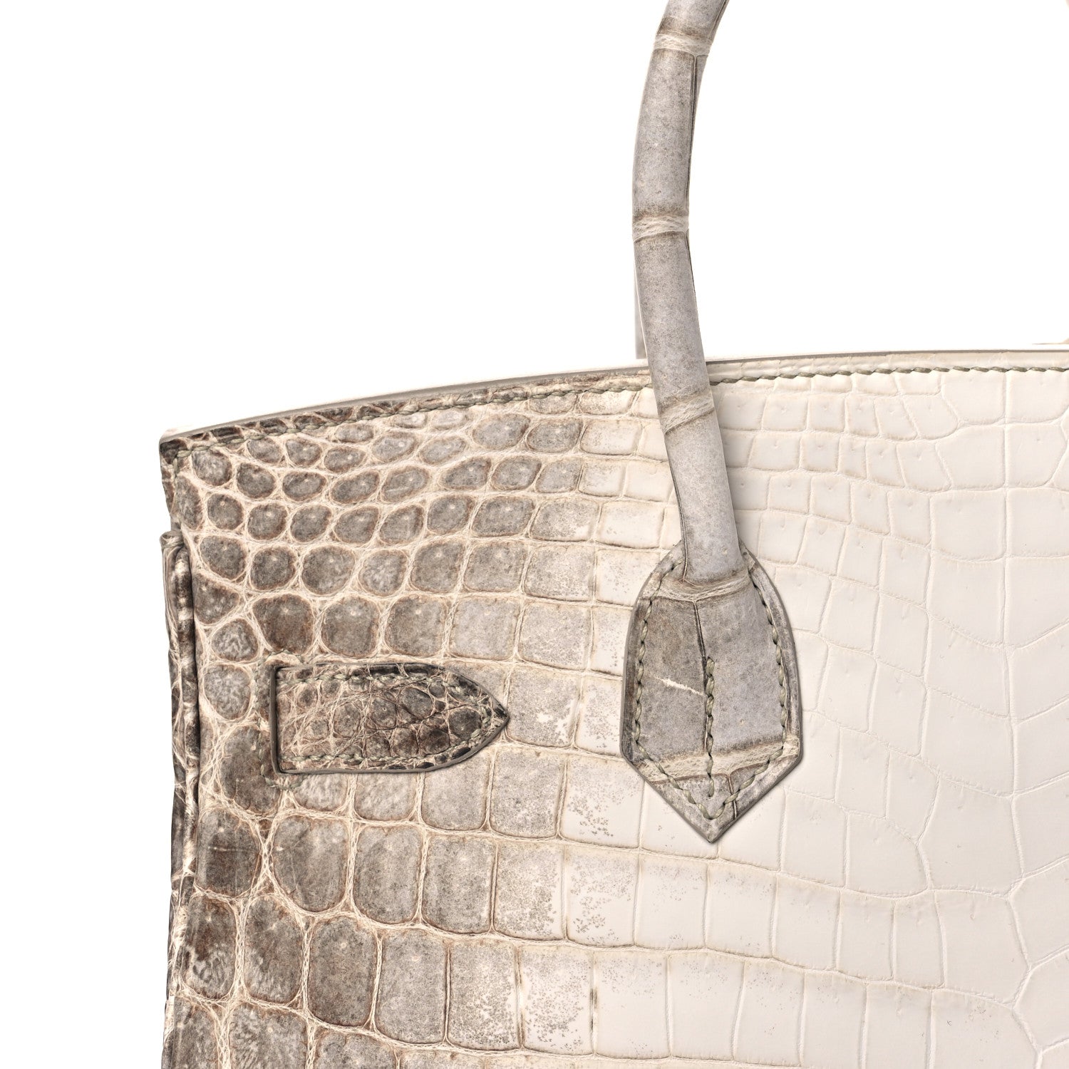Hermes Matte Niloticus Crocodile Himalaya Birkin 30 Blanc 15 of 17