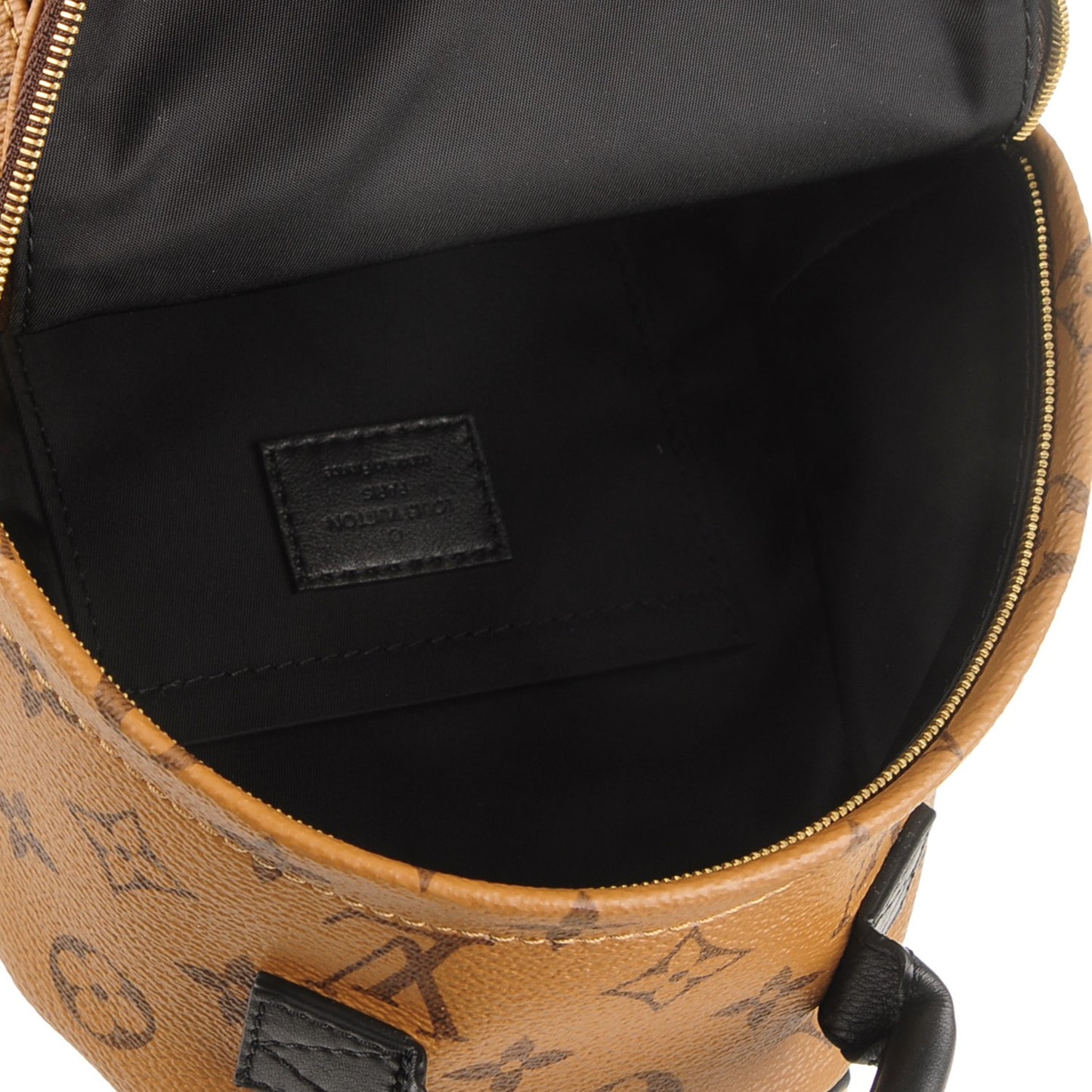 Reverse Monogram Palm Springs Backpack Mini