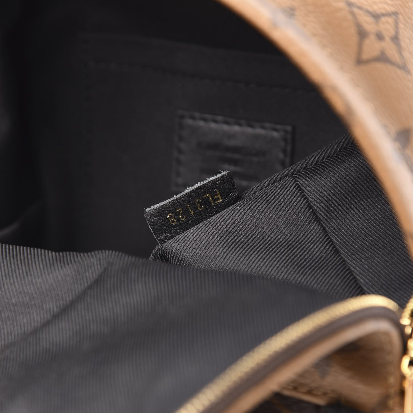 Reverse Monogram Palm Springs Backpack Mini