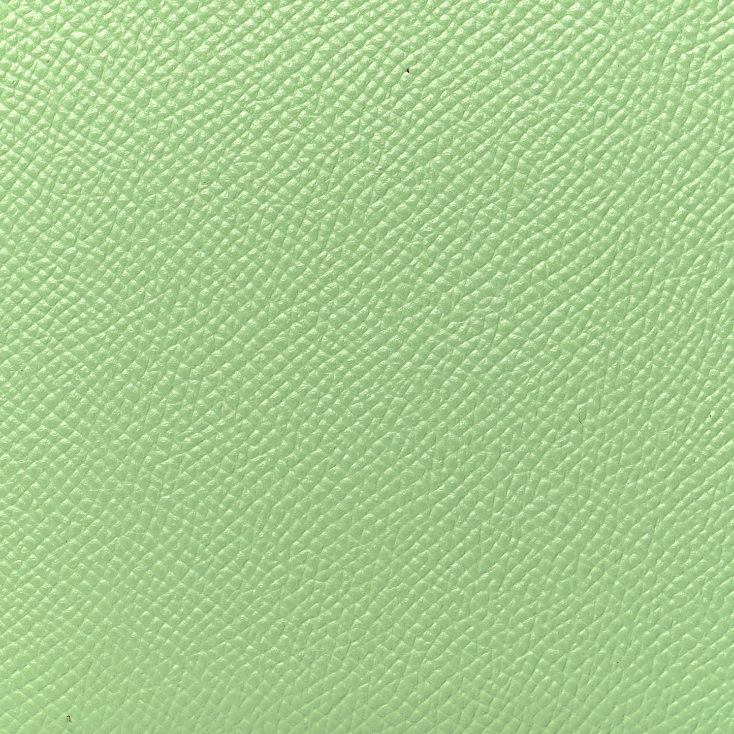 Epsom Silk'In Wallet Vert Criquet