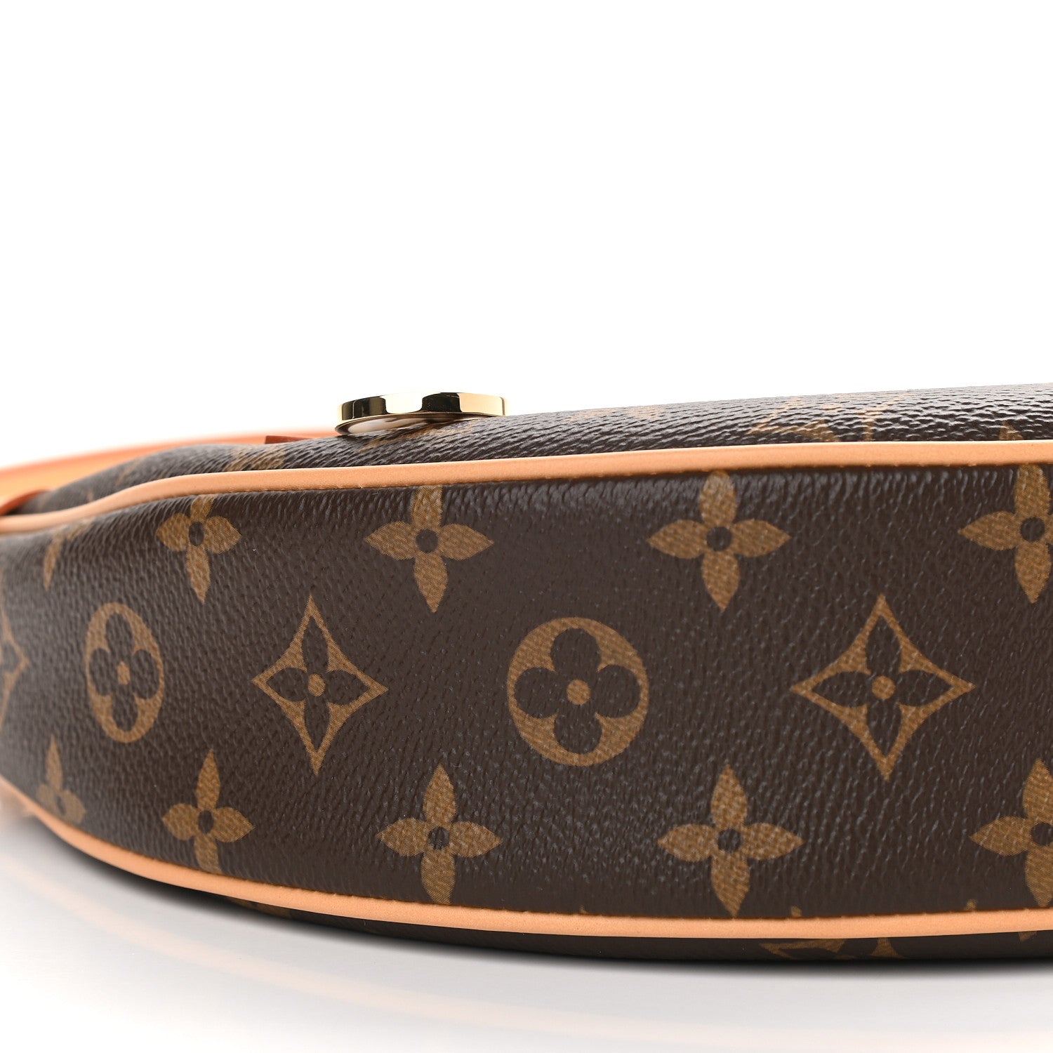 Louis Vuitton Monogram Loop 7 of 8