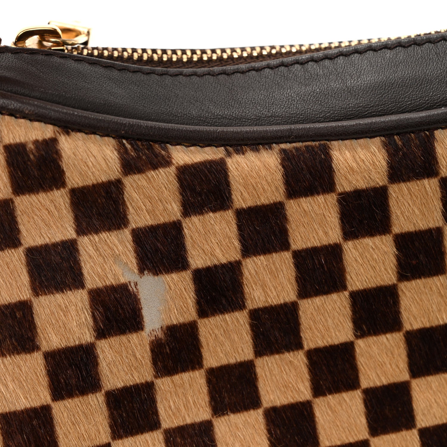 Louis Vuitton Calf Hair Damier Sauvage Tigre 10 of 10