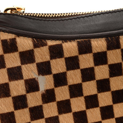Louis Vuitton Calf Hair Damier Sauvage Tigre 10 of 10