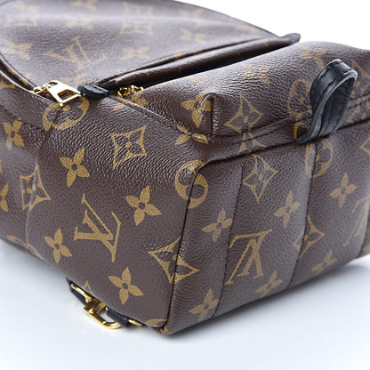 Louis Vuitton Monogram Palm Springs Backpack Mini 7 of 13