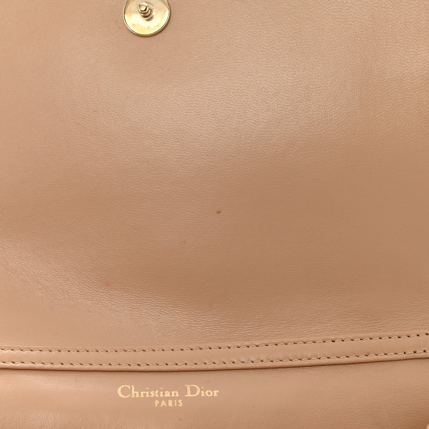 Grained Calfskin Diorama Wallet on Chain Pouch Nude