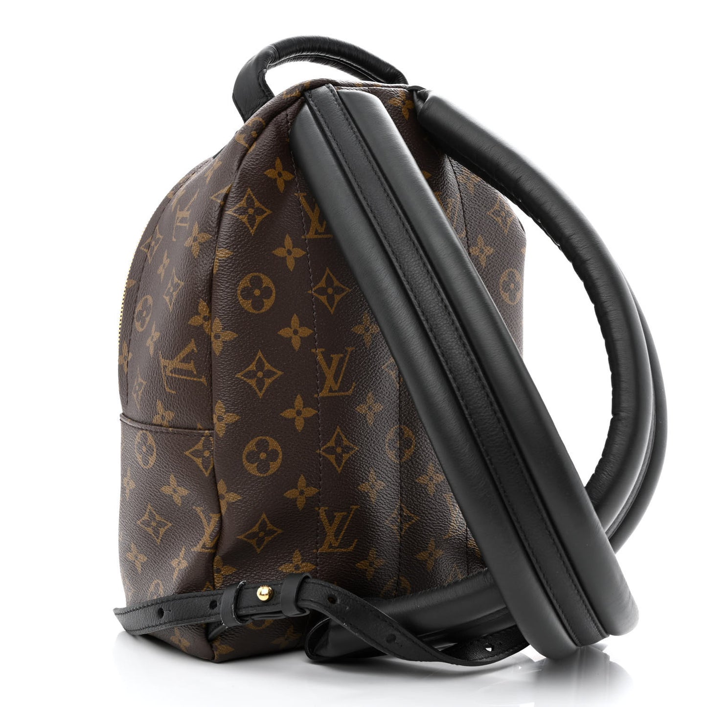 Monogram Palm Springs Backpack PM