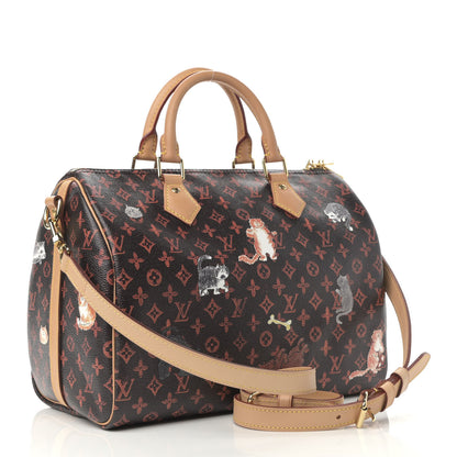 Louis Vuitton Catogram Speedy Bandouliere 30 Marron 3 of 10