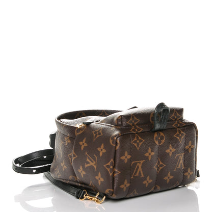 Louis Vuitton Monogram Palm Springs Backpack Mini 4 of 6