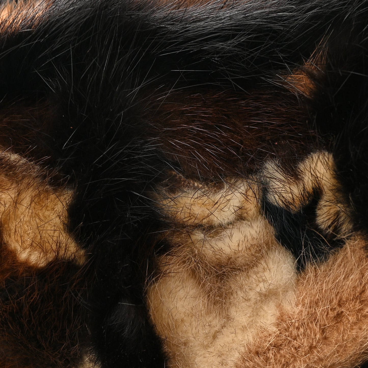 Mink Fur Medium Single Flap Multicolor