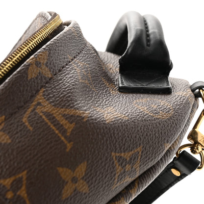 Louis Vuitton Monogram Palm Springs Backpack Mini 14 of 16