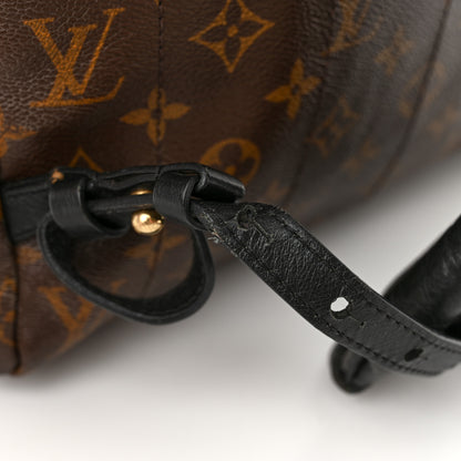 Louis Vuitton Monogram Palm Springs Backpack MM 16 of 17