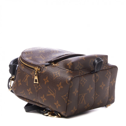 Louis Vuitton Monogram Palm Springs Backpack Mini 3 of 8