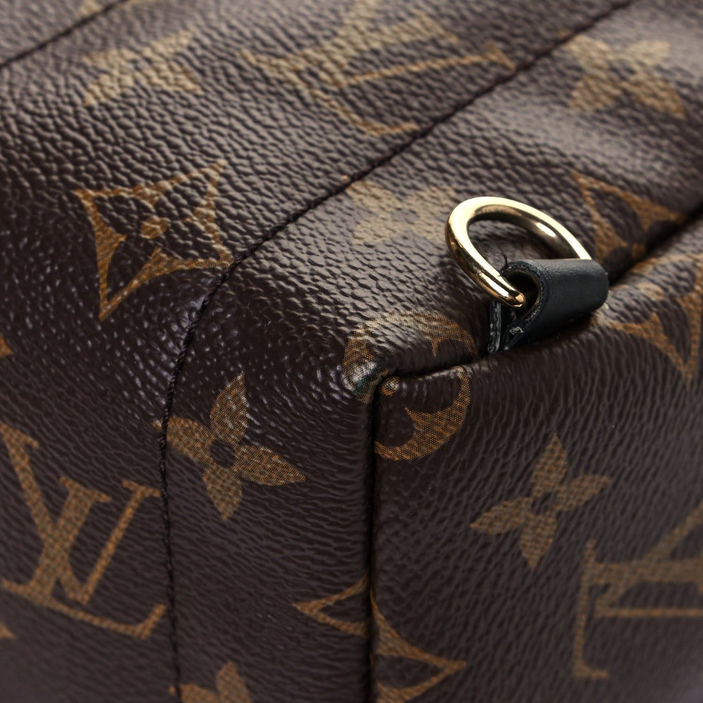 Monogram Palm Springs Backpack Mini