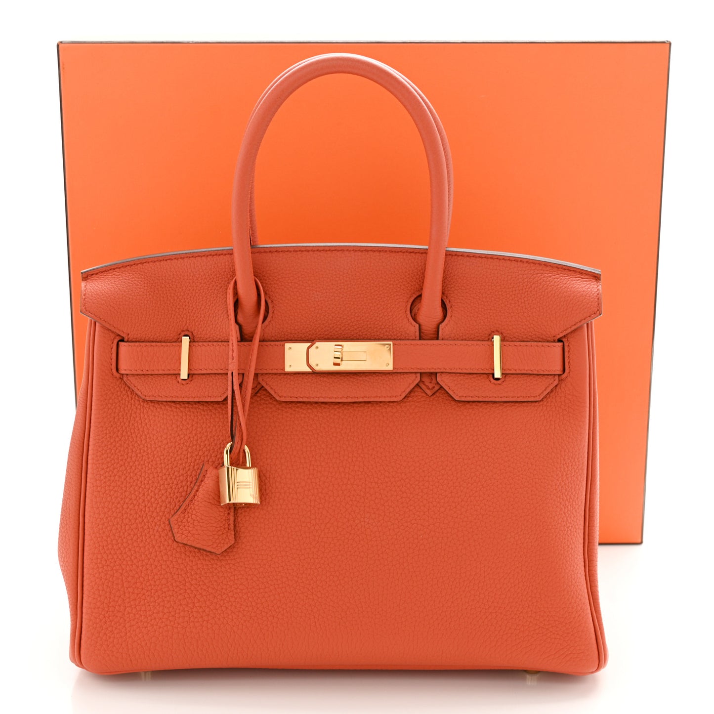 Togo Birkin 30 Terre Battue