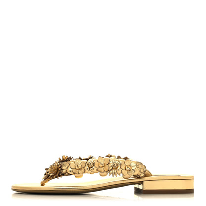 Chanel Laminated Lambskin Camellia Thong Sandals 38 Gold 1 of 8