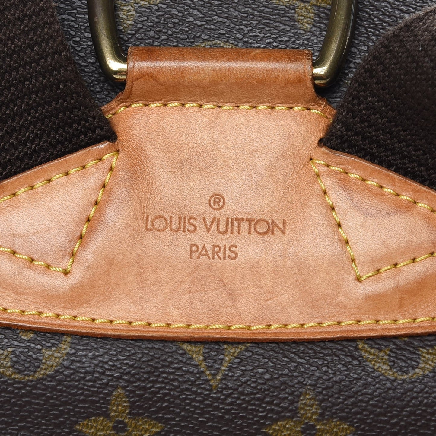 Monogram Montsouris GM Backpack