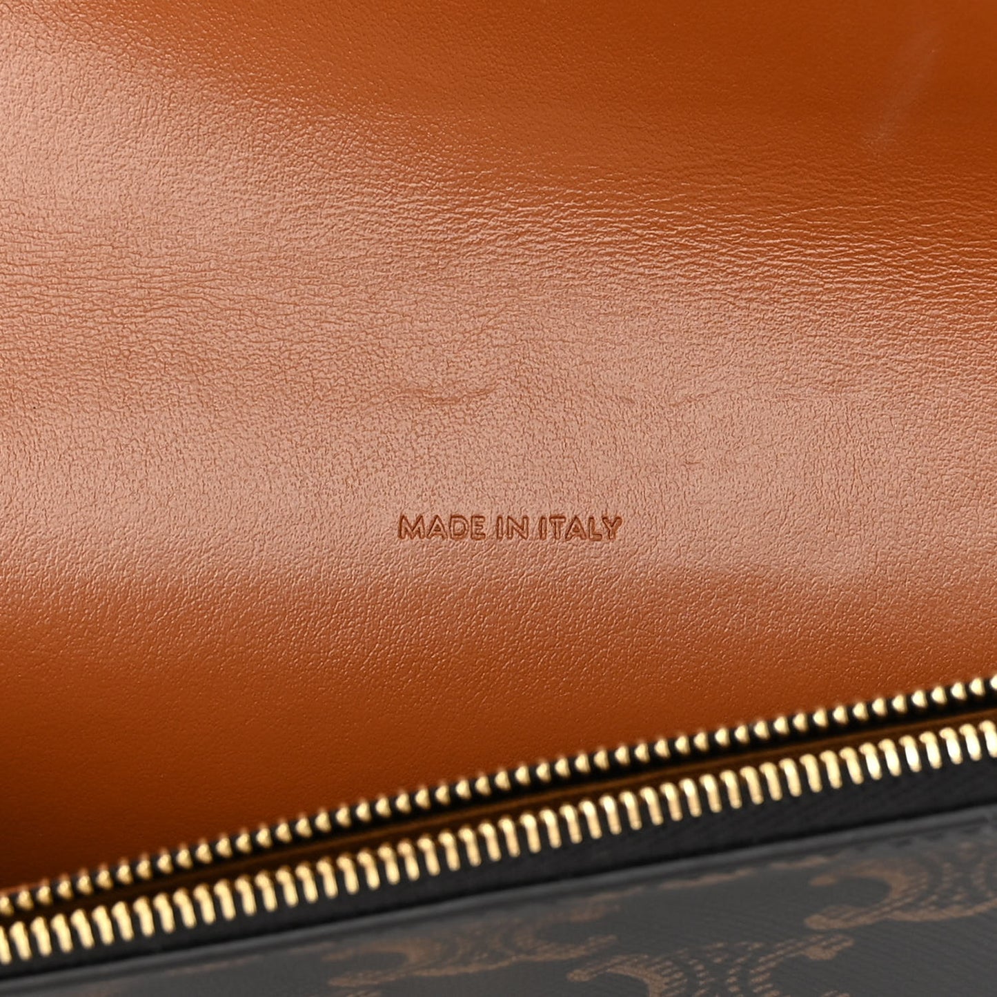 Triomphe Canvas Lambskin Wallet On Strap Tan