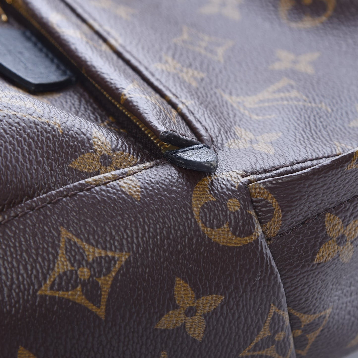 Monogram Palm Springs Backpack Mini
